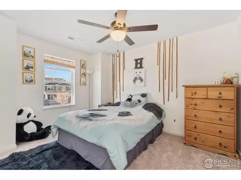 6808 Rainier Rd, Timnath, CO 80547 photo 15