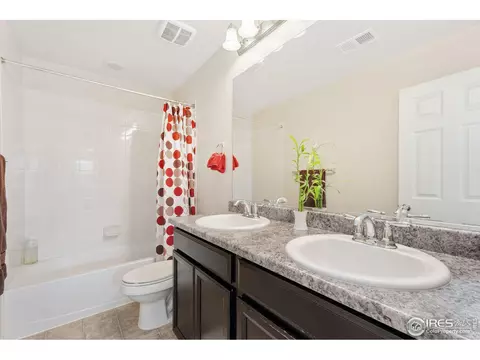 6808 Rainier Rd, Timnath, CO 80547 photo 14