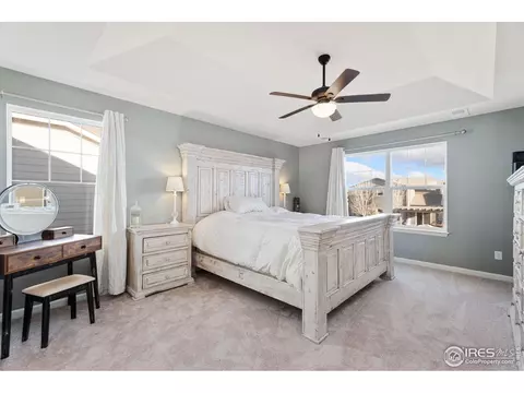 6808 Rainier Rd, Timnath, CO 80547 photo 11