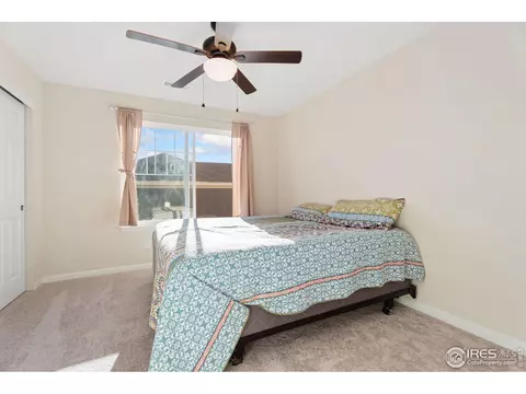 6808 Rainier Rd, Timnath, CO 80547 photo 16