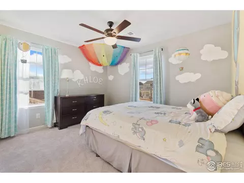 6808 Rainier Rd, Timnath, CO 80547 photo 13