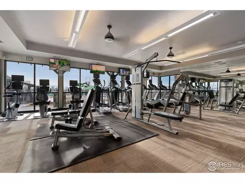 6808 Rainier Rd, Timnath, CO 80547 photo 32