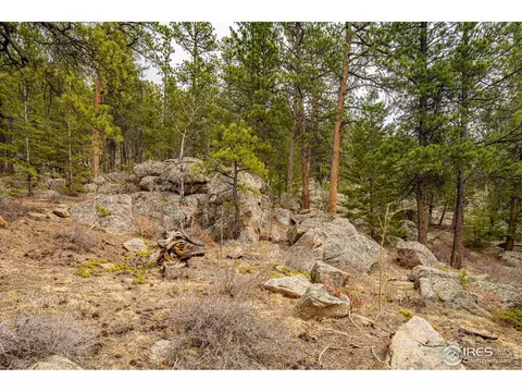 592 Aspen Dr, Lyons, CO 80540 photo 7
