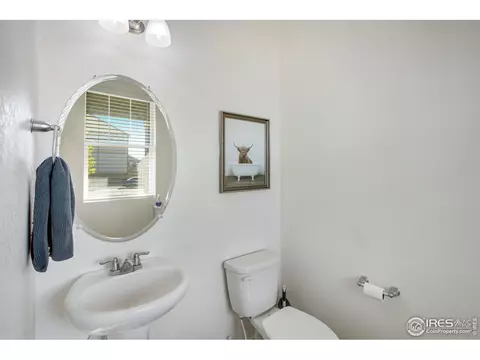 164 Haymaker Ln, Severance, CO 80550 photo 23