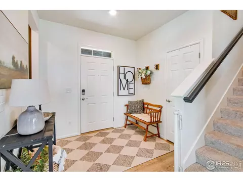 164 Haymaker Ln, Severance, CO 80550 photo 9