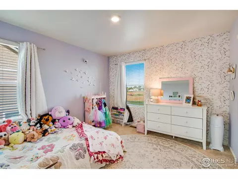 164 Haymaker Ln, Severance, CO 80550 photo 29