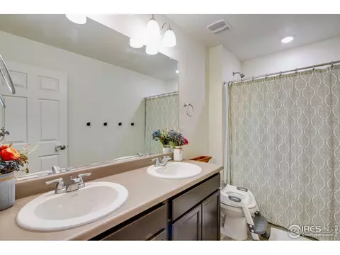 164 Haymaker Ln, Severance, CO 80550 photo 32