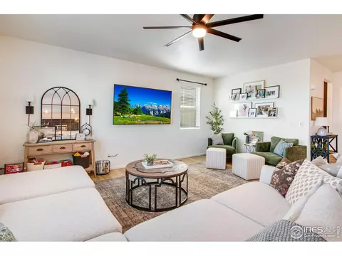 164 Haymaker Ln, Severance, CO 80550 photo 12