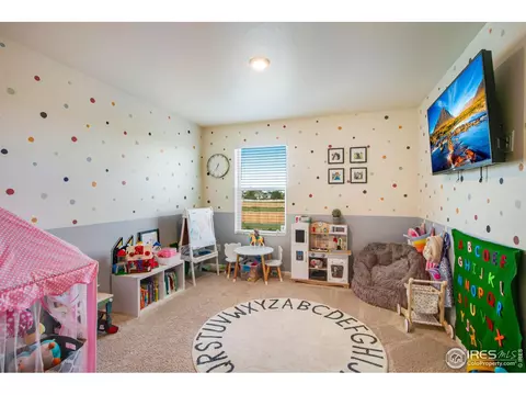 164 Haymaker Ln, Severance, CO 80550 photo 30
