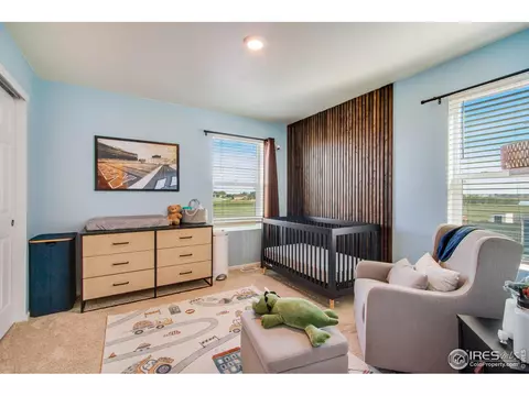 164 Haymaker Ln, Severance, CO 80550 photo 31