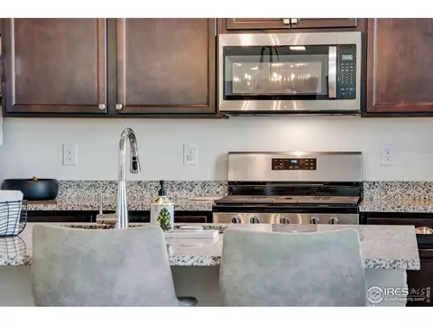164 Haymaker Ln, Severance, CO 80550 photo 22