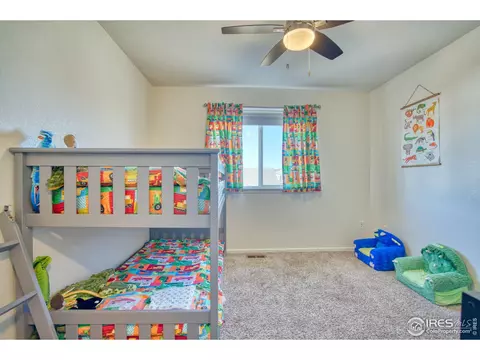 1638 Thrive Dr, Windsor, CO 80550 photo 17