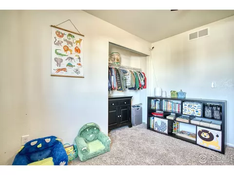 1638 Thrive Dr, Windsor, CO 80550 photo 18