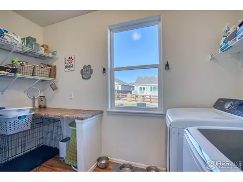 1638 Thrive Dr, Windsor, CO 80550 photo 23