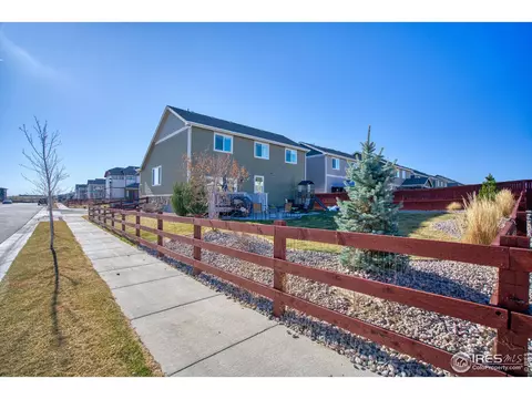 1638 Thrive Dr, Windsor, CO 80550 photo 31