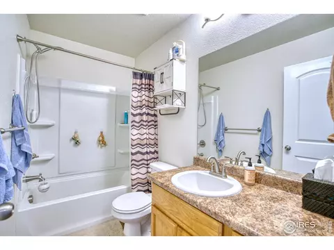 1638 Thrive Dr, Windsor, CO 80550 photo 21