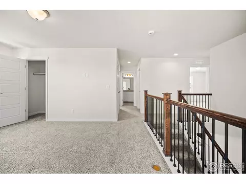 871 Forest Canyon Rd, Severance, CO 80550 photo 24