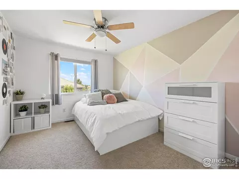 453 Harbor Ct, Windsor, CO 80550 photo 25