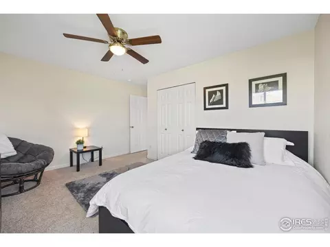 453 Harbor Ct, Windsor, CO 80550 photo 28