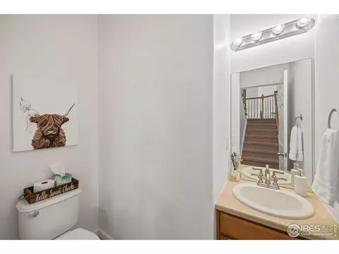 453 Harbor Ct, Windsor, CO 80550 photo 18