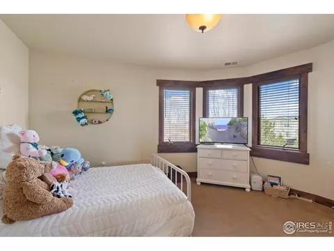 1972 Cayman Dr, Windsor, CO 80550 photo 21