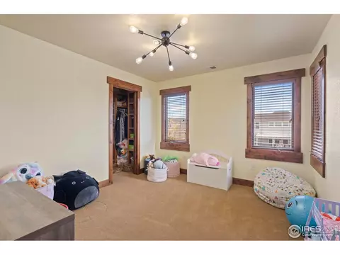 1972 Cayman Dr, Windsor, CO 80550 photo 20
