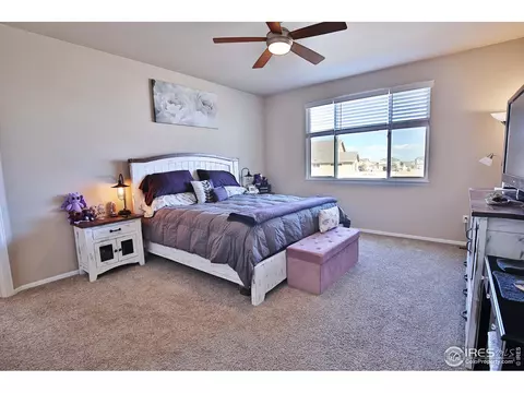 702 Mt Evans Ave, Severance, CO 80550 photo 18