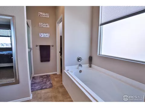 702 Mt Evans Ave, Severance, CO 80550 photo 20