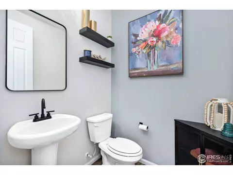 979 Mouflon Dr, Severance, CO 80550 photo 20