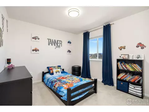 979 Mouflon Dr, Severance, CO 80550 photo 30