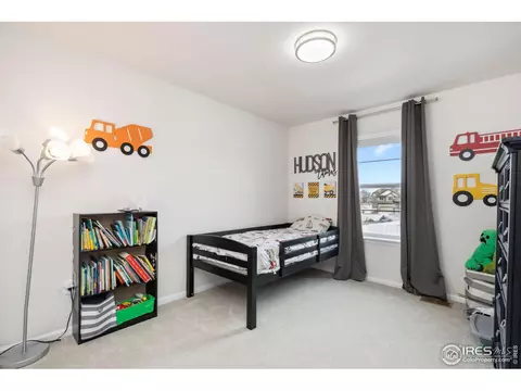 979 Mouflon Dr, Severance, CO 80550 photo 31
