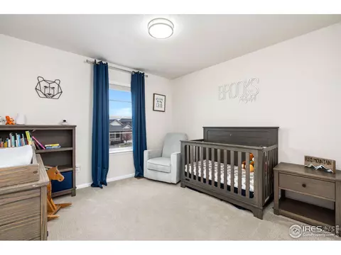 979 Mouflon Dr, Severance, CO 80550 photo 28