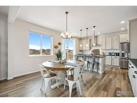 979 Mouflon Dr, Severance, CO 80550 photo 10