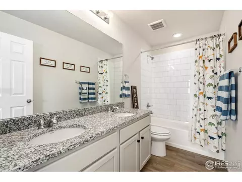 979 Mouflon Dr, Severance, CO 80550 photo 29