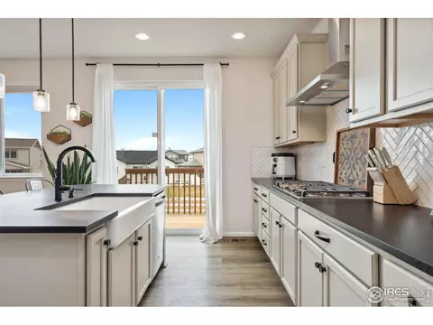979 Mouflon Dr, Severance, CO 80550 photo 14