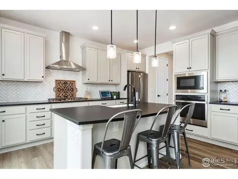 979 Mouflon Dr, Severance, CO 80550 photo 11