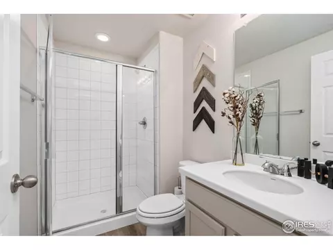 979 Mouflon Dr, Severance, CO 80550 photo 35