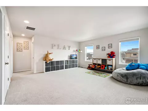 979 Mouflon Dr, Severance, CO 80550 photo 21