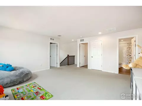 979 Mouflon Dr, Severance, CO 80550 photo 26