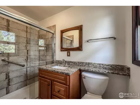 135 Lake Dr, Lyons, CO 80540 photo 10