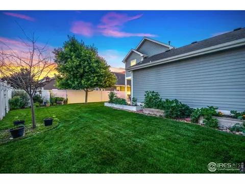 1139 Fairfield Ave, Windsor, CO 80550 photo 33