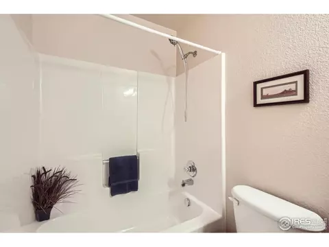 161 Beacon Way, Windsor, CO 80550 photo 15