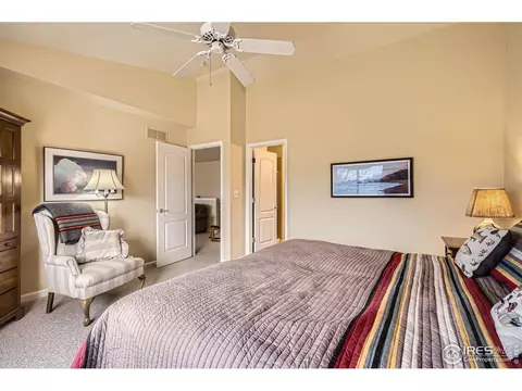 161 Beacon Way, Windsor, CO 80550 photo 11