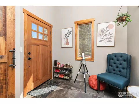 727 Overland Dr, Ward, CO 80481 photo 9