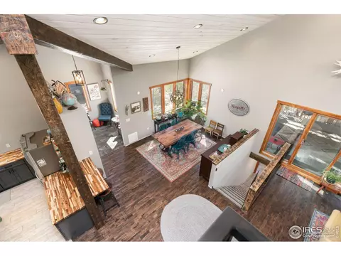 727 Overland Dr, Ward, CO 80481 photo 19