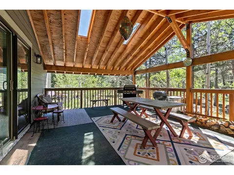727 Overland Dr, Ward, CO 80481 photo 23