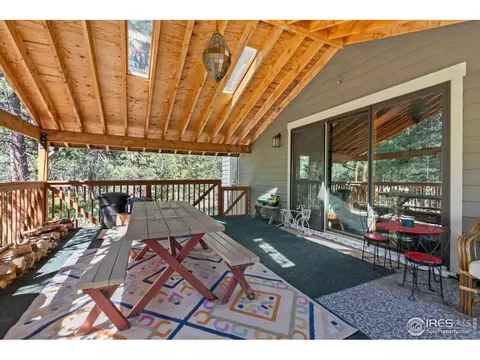 727 Overland Dr, Ward, CO 80481 photo 24