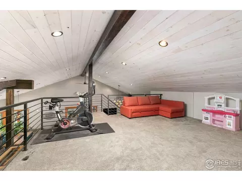 727 Overland Dr, Ward, CO 80481 photo 8