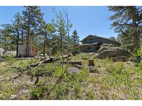 727 Overland Dr, Ward, CO 80481 photo 37