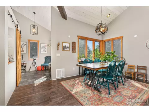 727 Overland Dr, Ward, CO 80481 photo 6